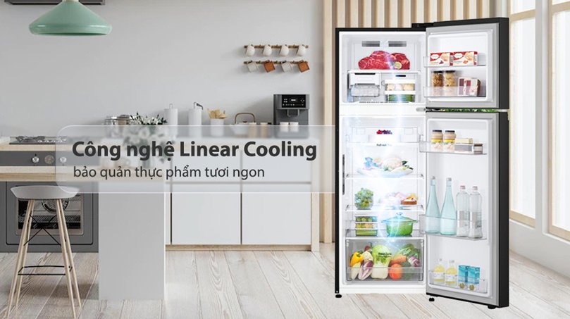 Tủ Lạnh LG Inverter 217 Lít GV-B212WB