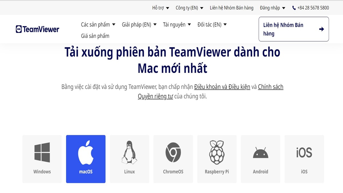 Hướng dẫn cách tải TeamViewer trên máy tính