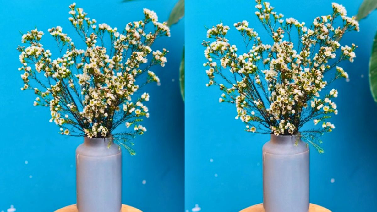 Cách cắm hoa thanh liễu đẹp đón Tết gặp nhiều may mắn bước 4