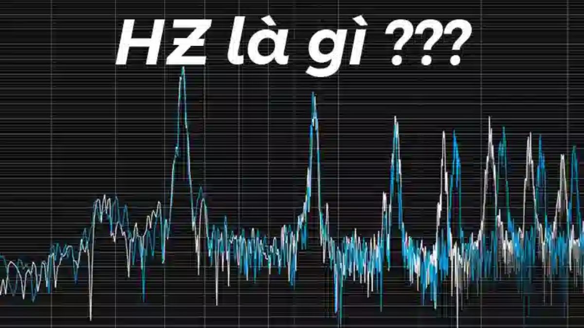 Hz là gì? 1