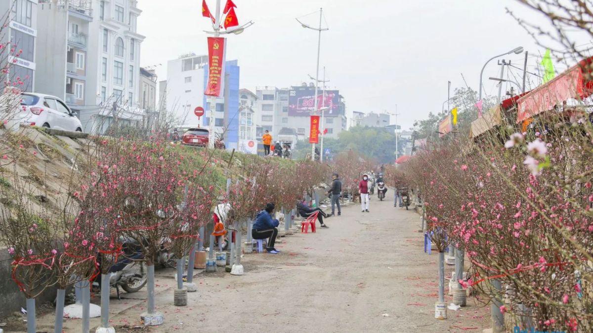 Chợ hoa Quảng An- Địa điểm chụp ảnh Tết ở Hà Nội