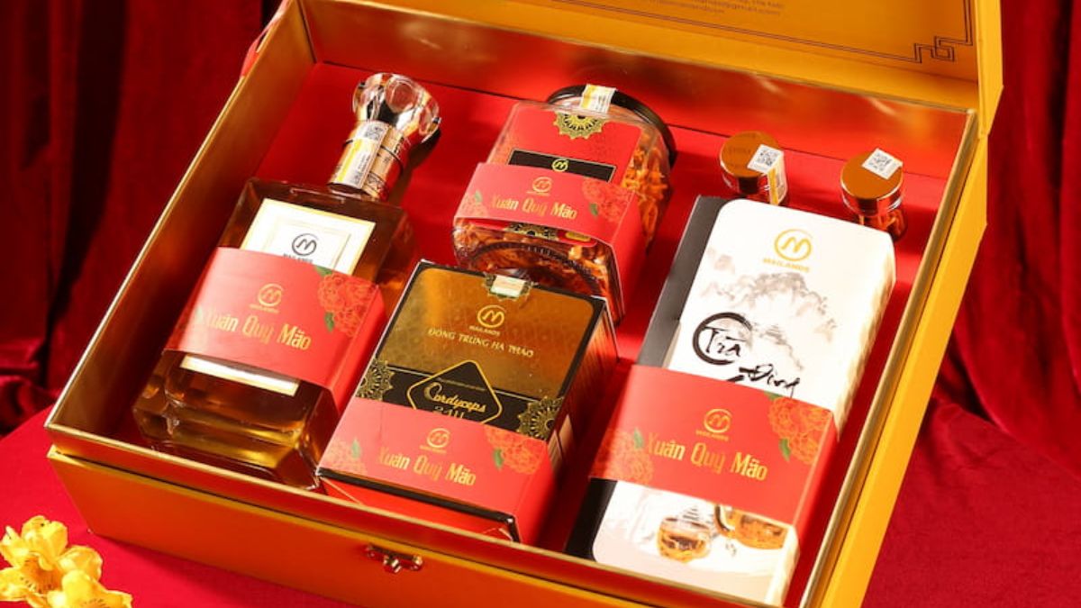 đông trùng hạ thảo - Top mẫu hộp quà Tết cao cấp, sang trọng