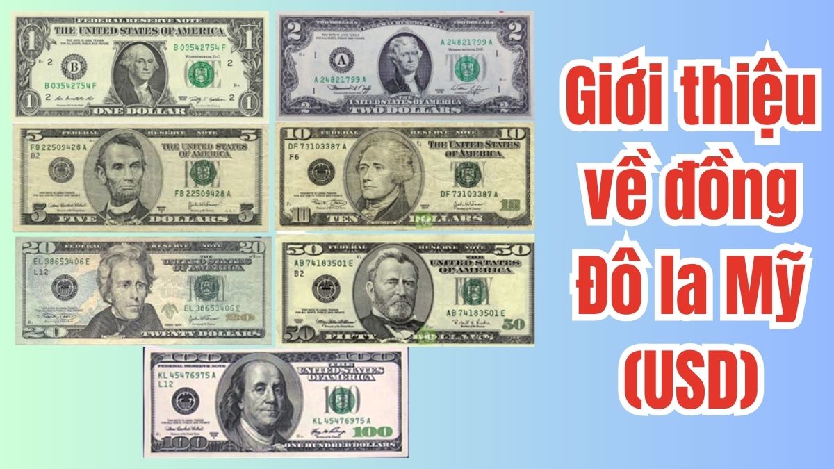 2 Triệu Đô La Bằng Bao Nhiêu Tiền Việt - Cập Nhật Tỷ Giá Hối Đoái Mới Nhất