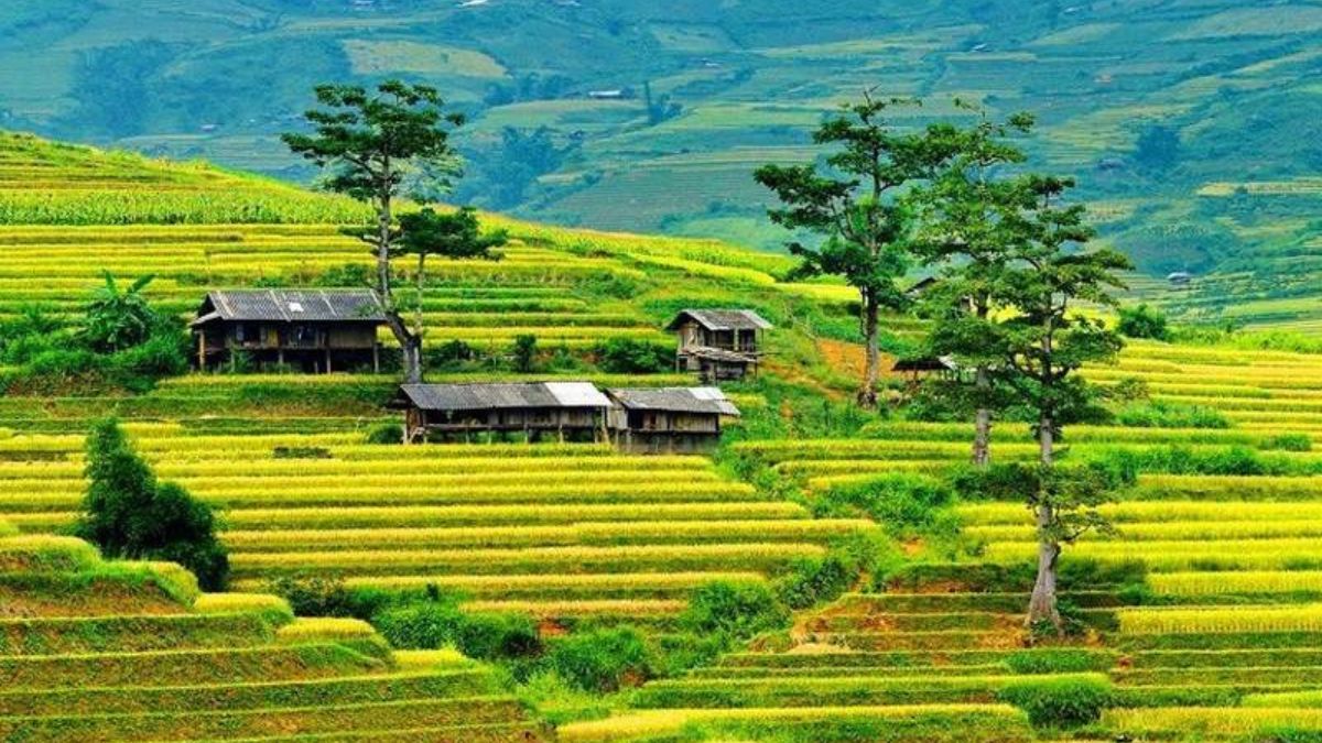 địa điểm du lịch yên bái