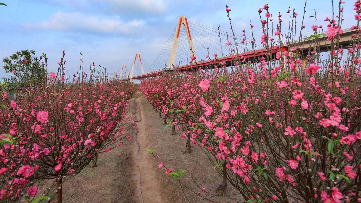 Valentine đi đâu Hà Nội hẹn hò