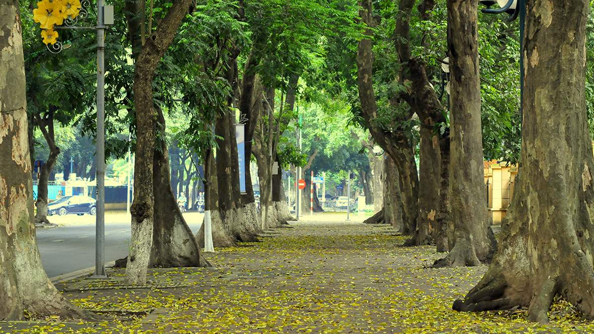 Valentine đi đâu Hà Nội hẹn hò