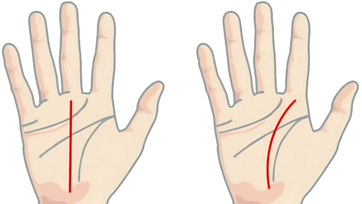 Giải mã đường chỉ tay sự nghiệp