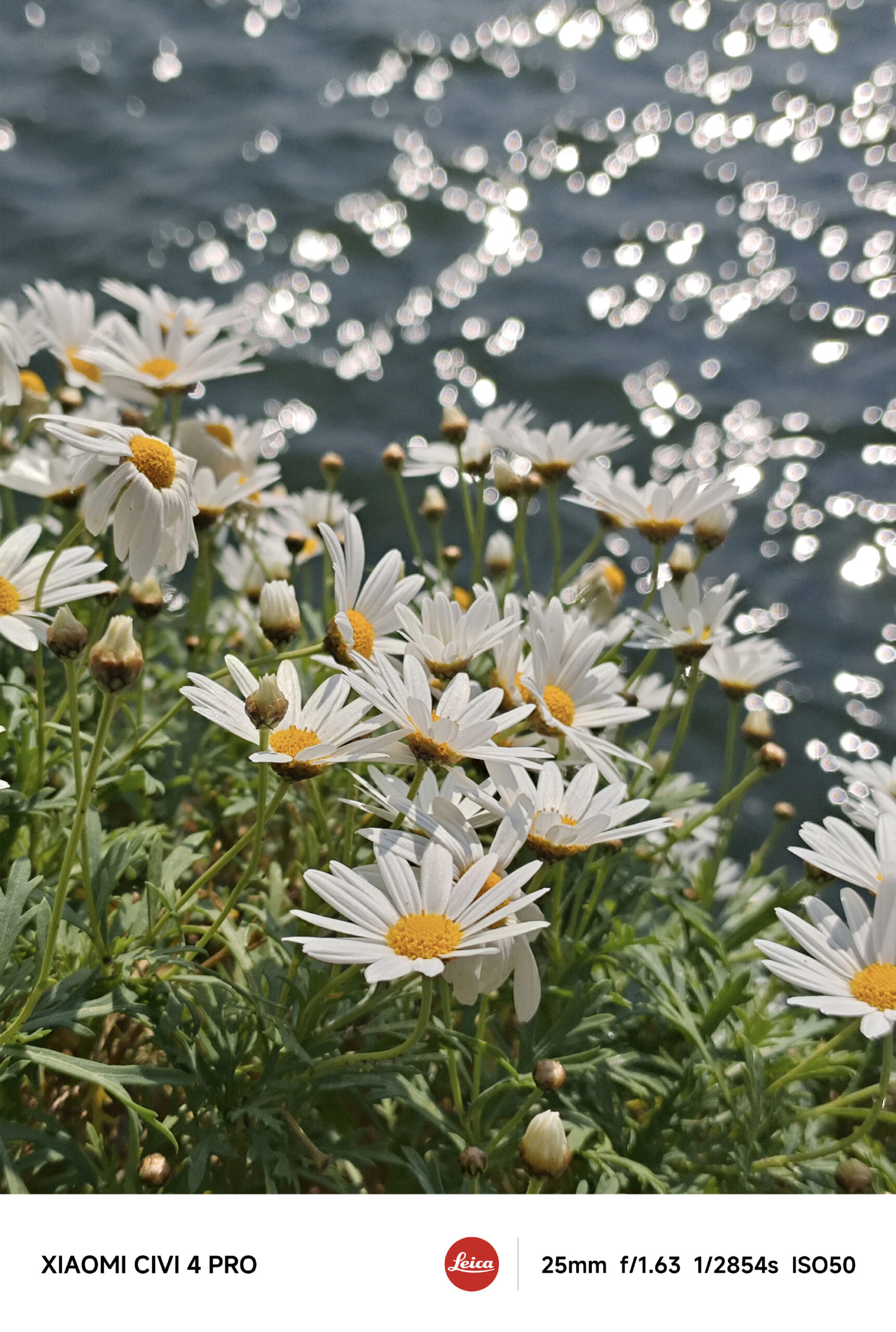Camera của Xiaomi Civi 4 Pro