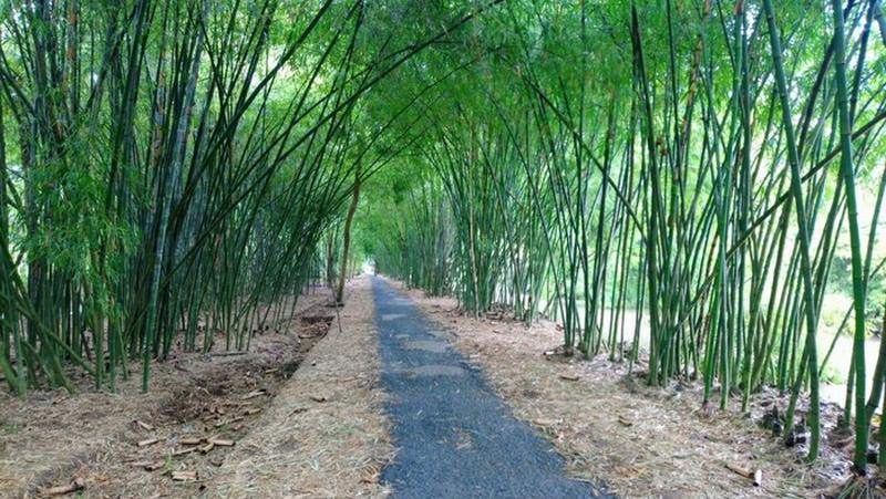 Địa điểm du lịch Hậu Giang đẹp nhất