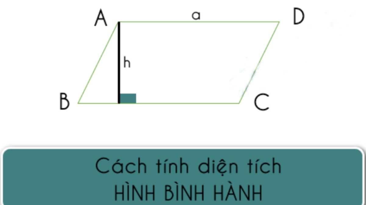 Công thức tính diện tích hình bình hành