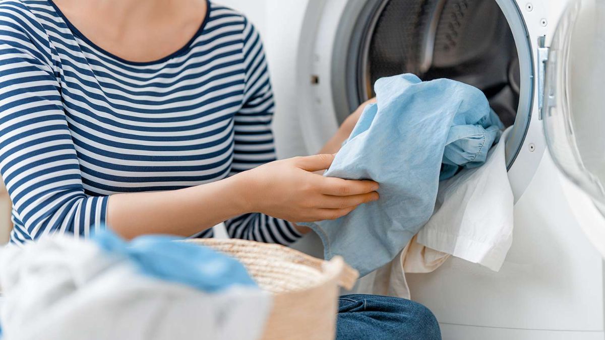 Máy sấy dạng cửa ngang