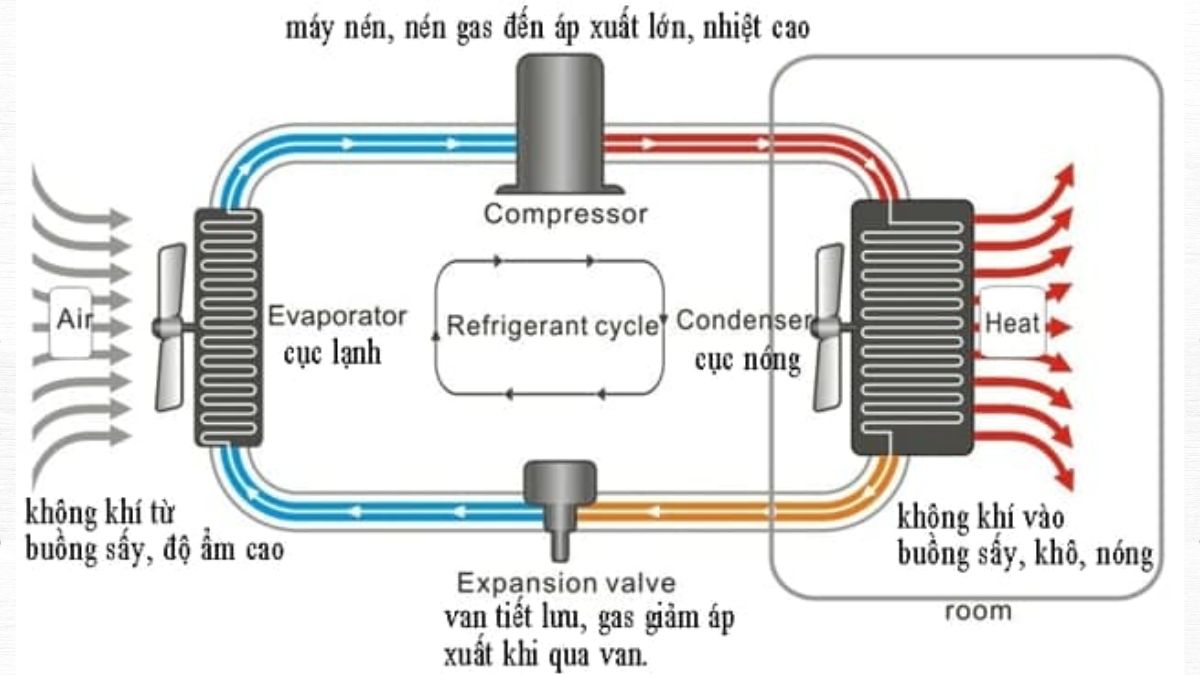 Cơ chế hoạt động