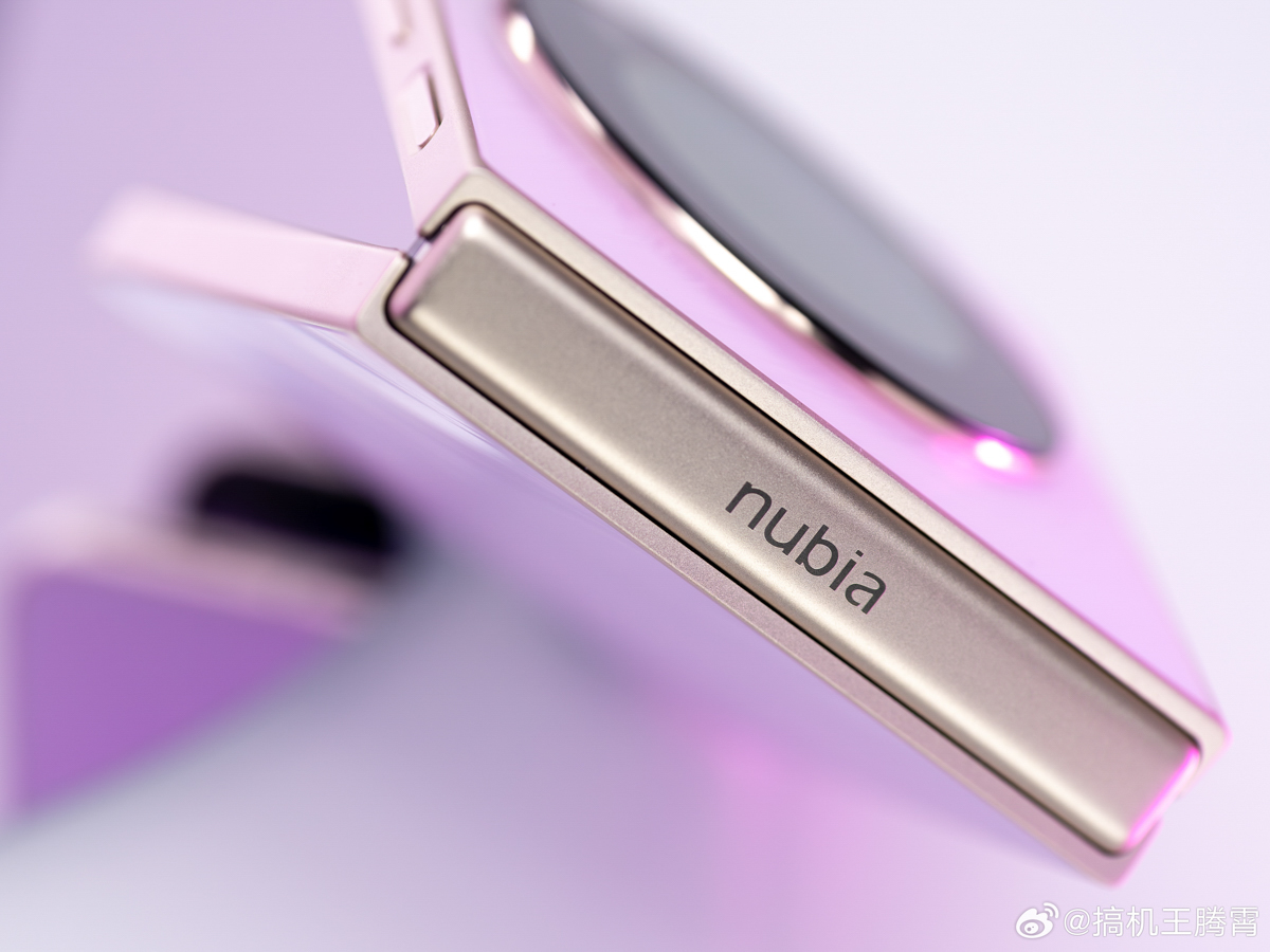 Bản lề Nubia Flip